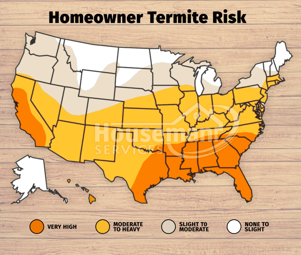 Termite Map