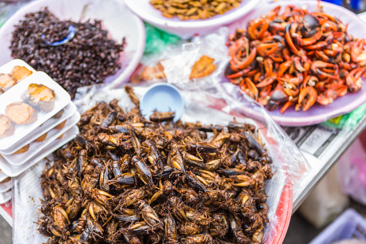 Chinese People Eating Bugs