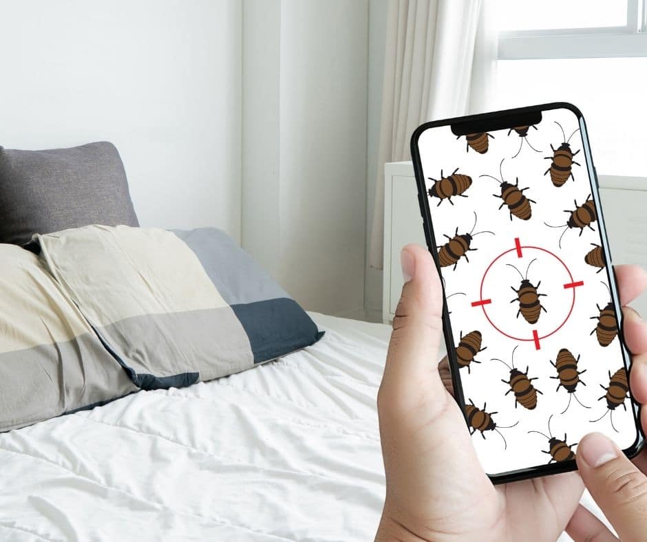 Bed Bug Inspection App
